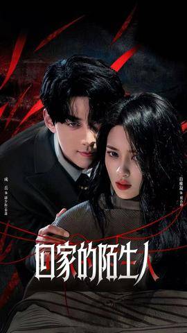 《回家的陌生人》影片海报